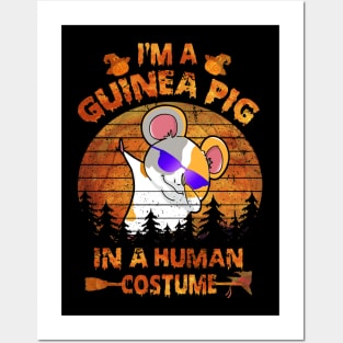 Guinea Pig Halloween Costumes (38) Posters and Art